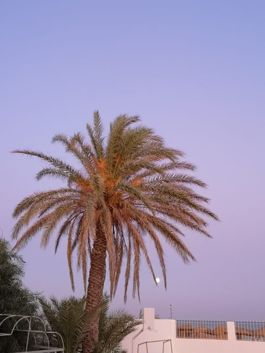 Ausblick Samira Club