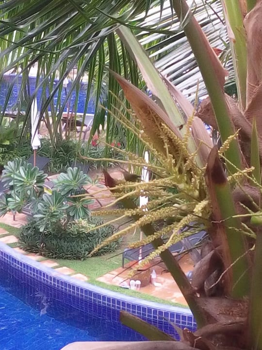 Bangtao Best Western Premier Bangtao Beach Resort & Spa