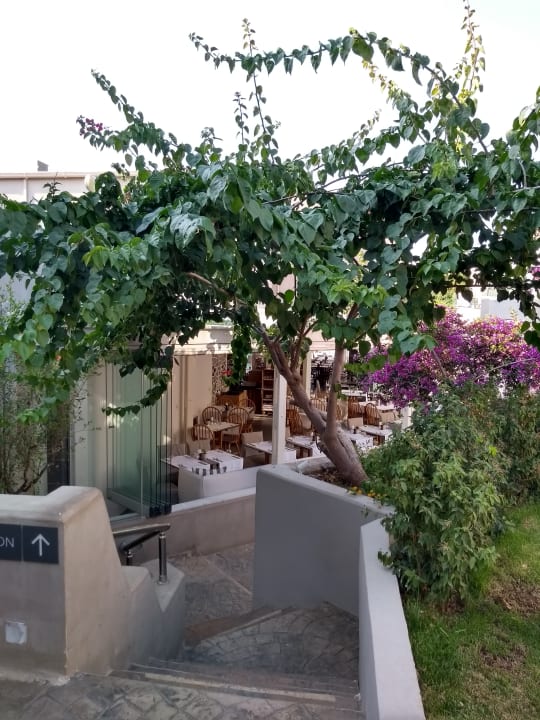 Blick auf den Speisesaal Nefeli Hotel Rethymno