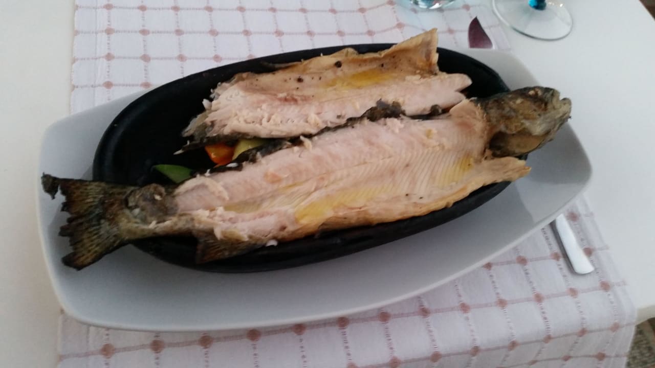 Fischrestaurant Paloma Oceana