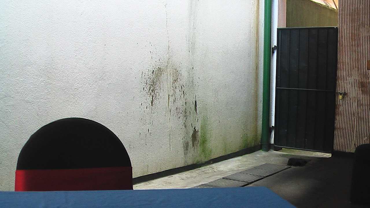 Wandseite  Water Lily