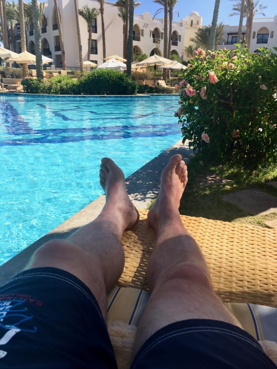 Pool Pickalbatros Palace Hotel-Port Ghalib