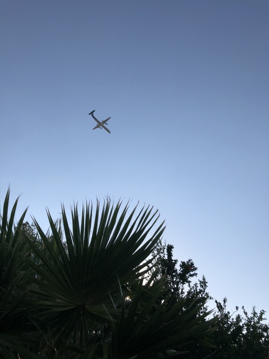 Gartenanlage Porto Bello Beach