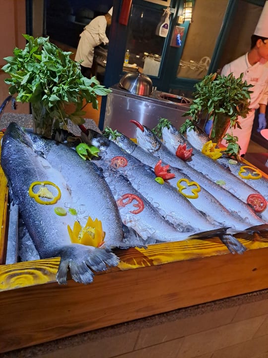 Gastro Club Paradisio El Gouna, Red Sea