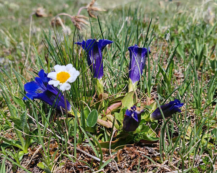 Sport & Freizeit Alpengasthof Eppensteiner