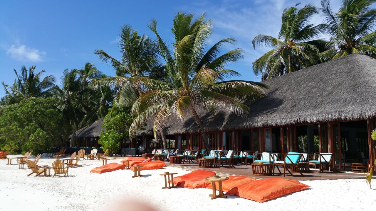 Bar Summer Island Maldives