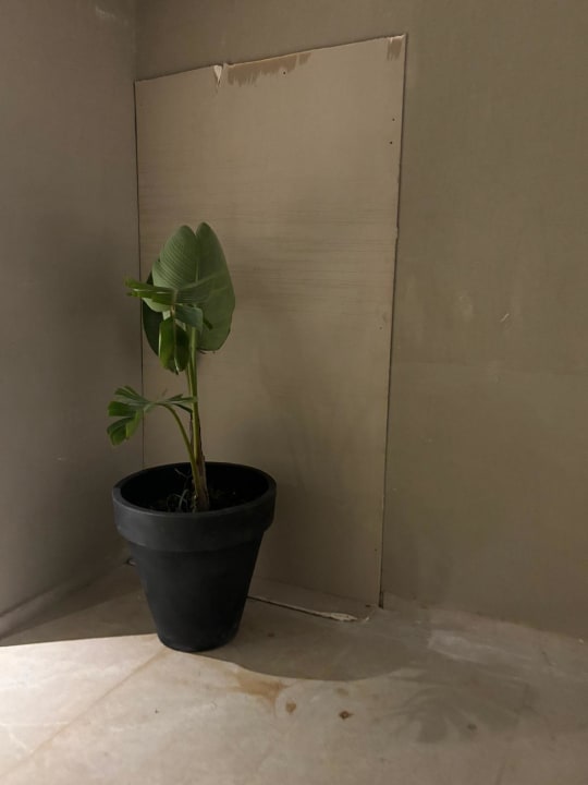 Gartenanlage Mare Village Hotel