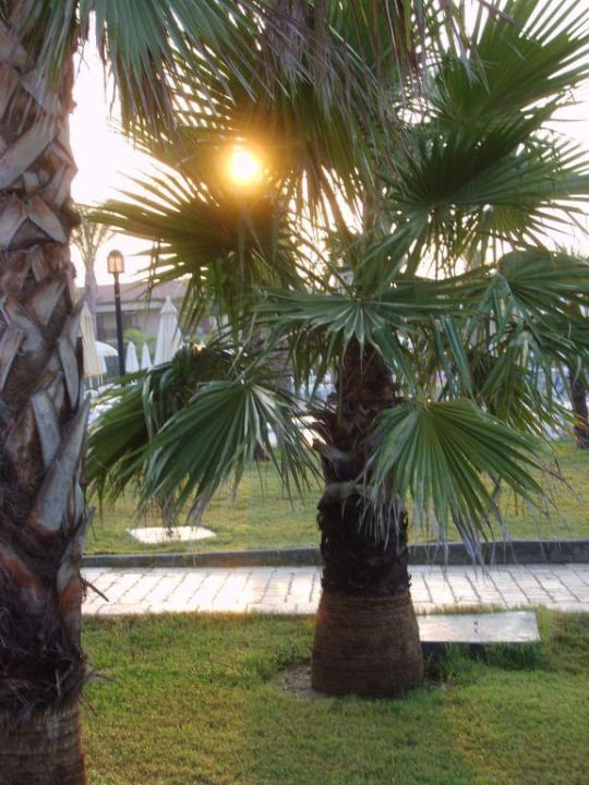 Sonnenaufgang TUI BLUE Palm Garden