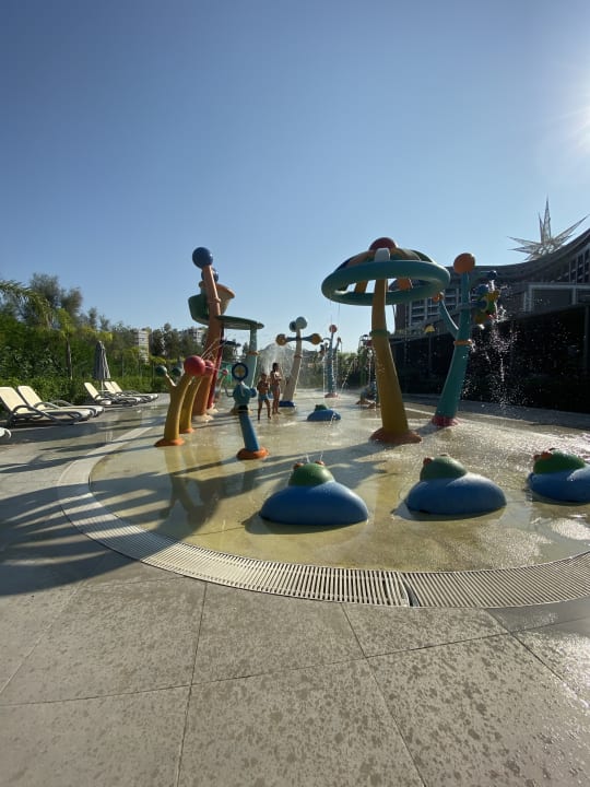 Sport & Freizeit Royal Seginus