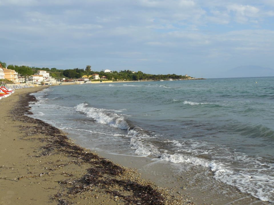 Hotelowa plaza TUI BLUE Zante Maris - Adults only