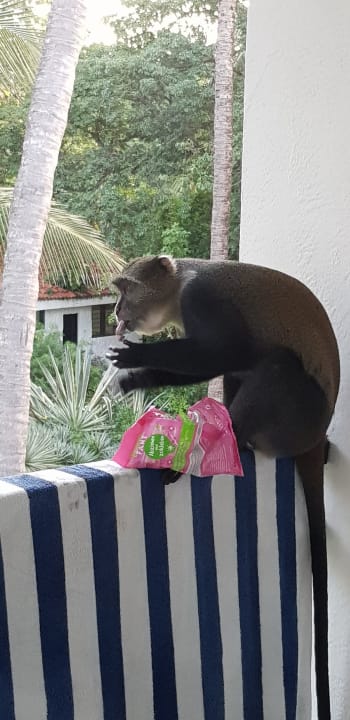 Sonstiges Diani Sea Resort