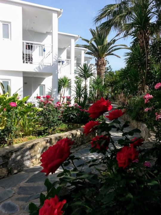 Gartenanlage HARPIN Happy Days Beach Hotel