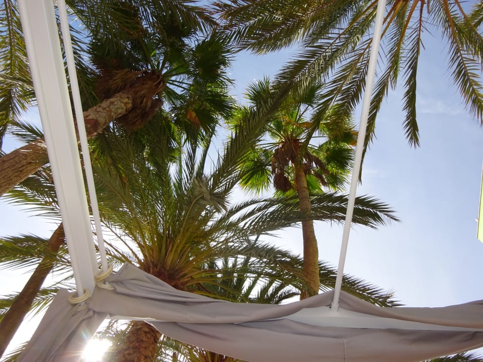 Pool Hotel LIVVO Anamar Suites