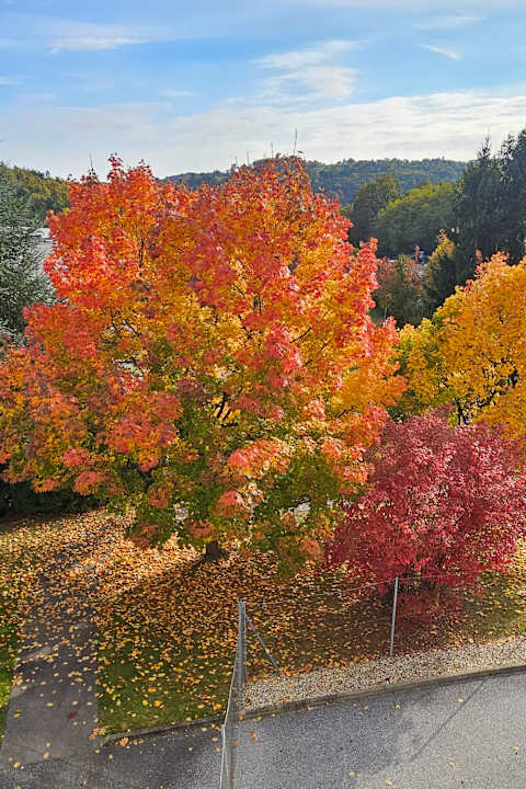 Ausblick Allegria Resort Stegersbach