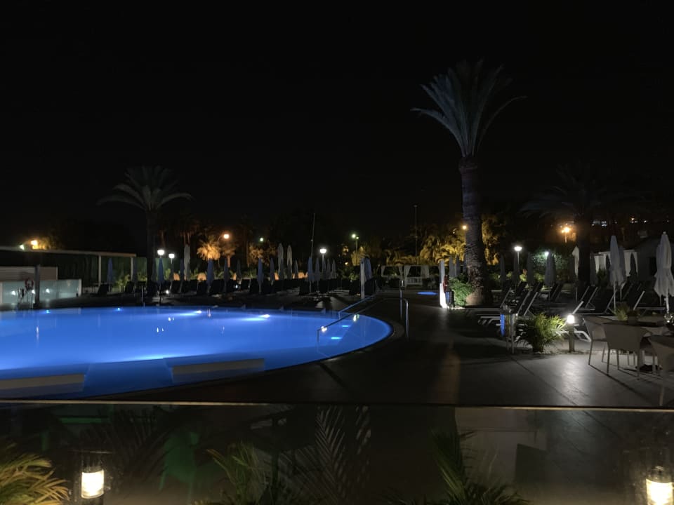 Pool Canary Garden Club