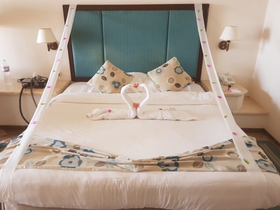 Zimmer Pickalbatros Citadel Resort