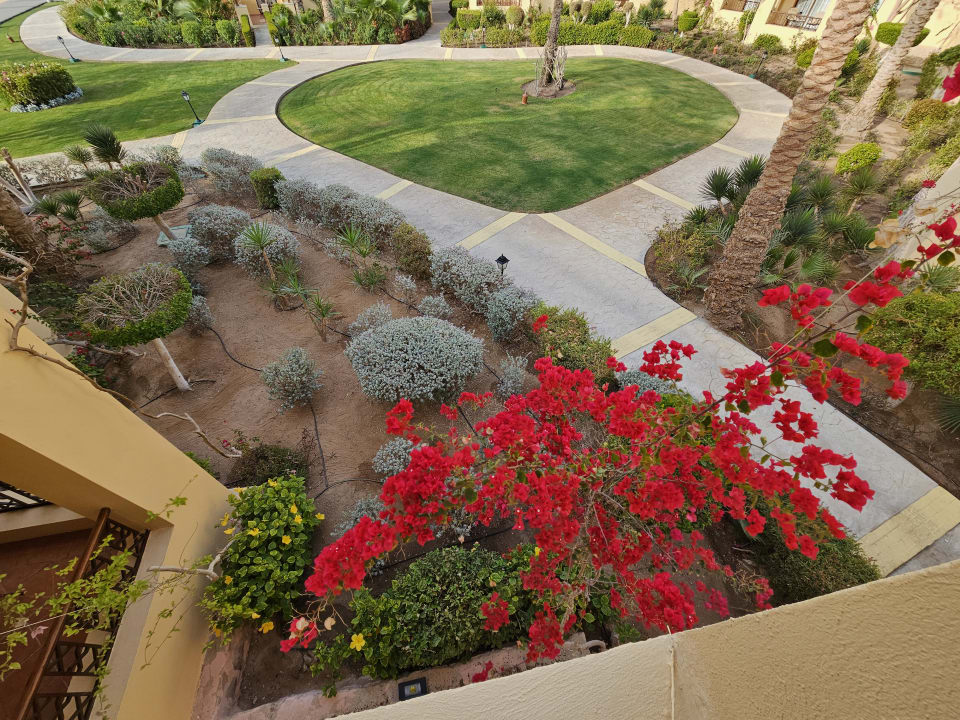 Ausblick Steigenberger Coraya Beach - Adults only