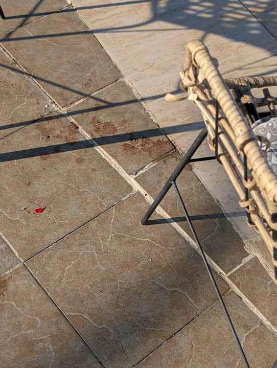 Gastro Burgas Beach Hotel