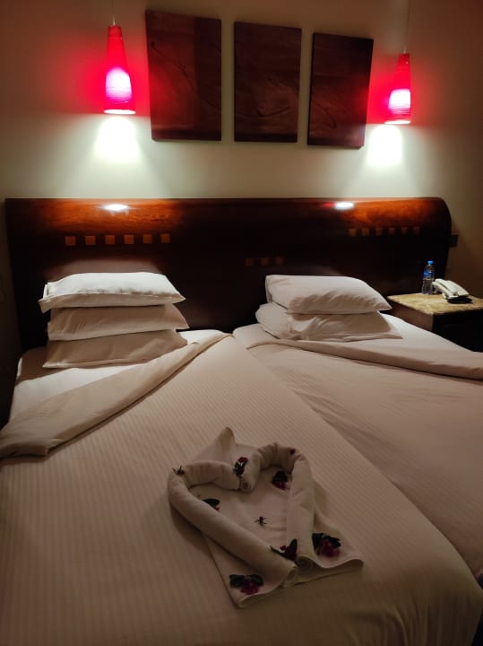 Zimmer Shams Prestige Abu Soma-Adults Only