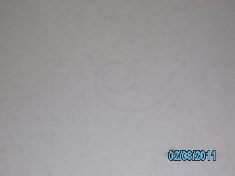 Haare von den Vorgängern Hotel Kiss Family