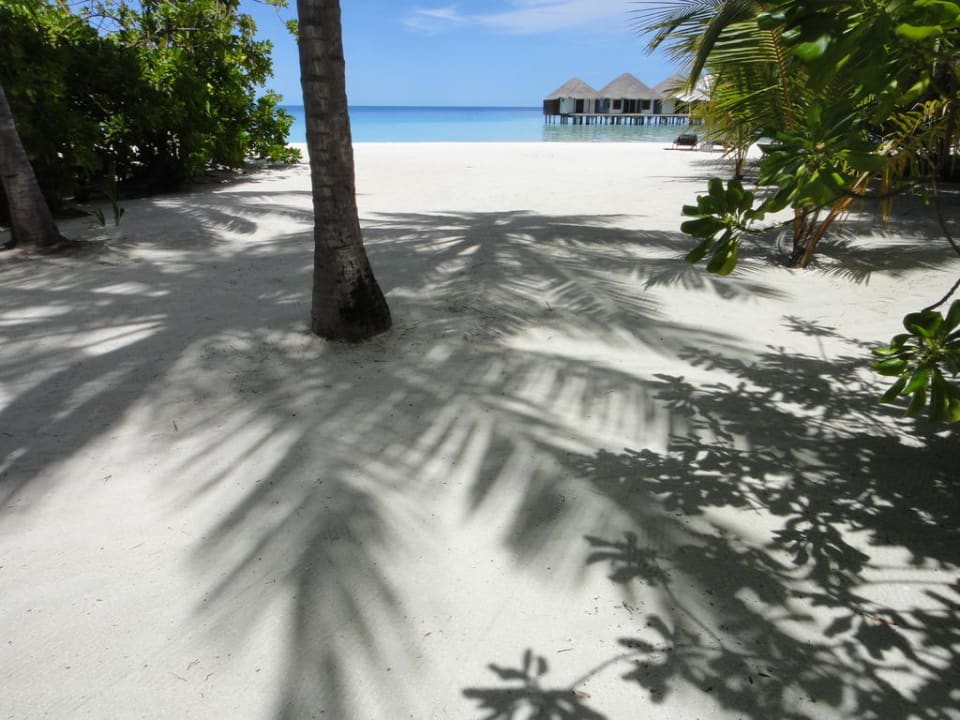 Aussicht von unserer Villa Velassaru Maldives