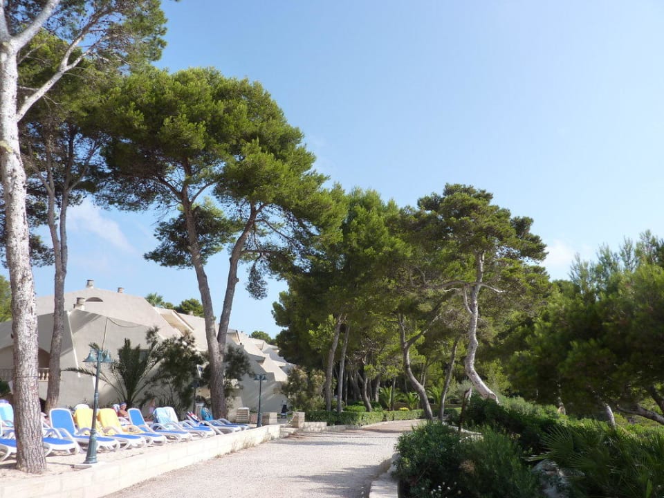 Liegen Iberostar Waves Pinos Park