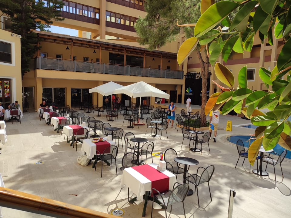 Gastro Asteria Collection Side