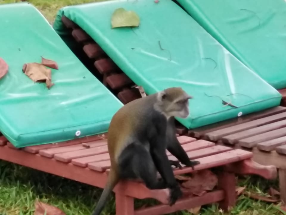 Sonstiges Neptune Village Beach Resort & Spa