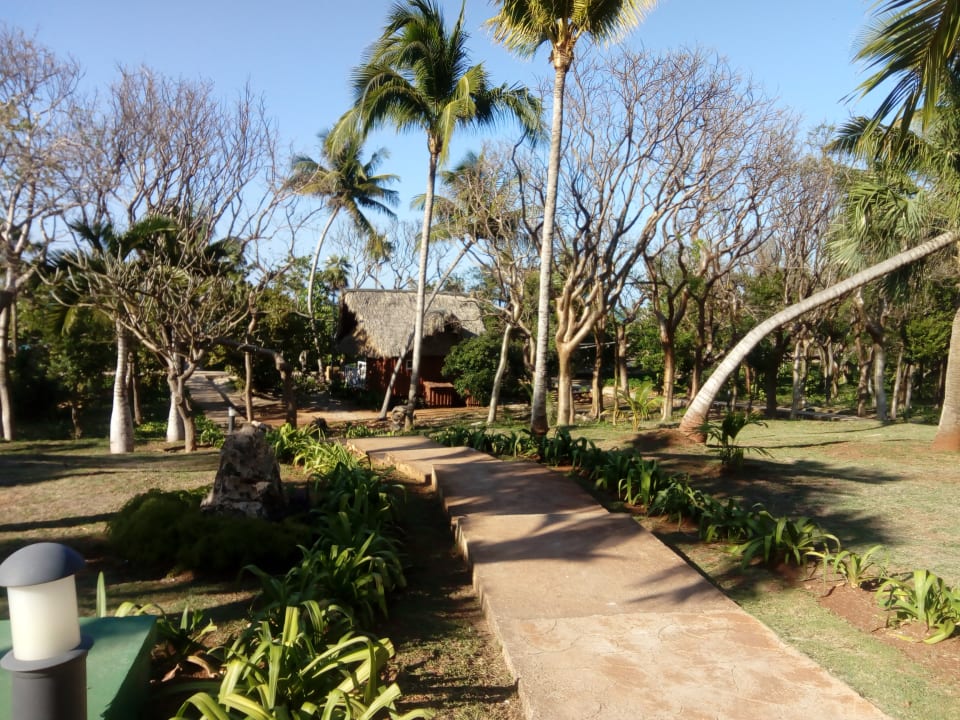 Gartenanlage Sirenis Tropical Varadero