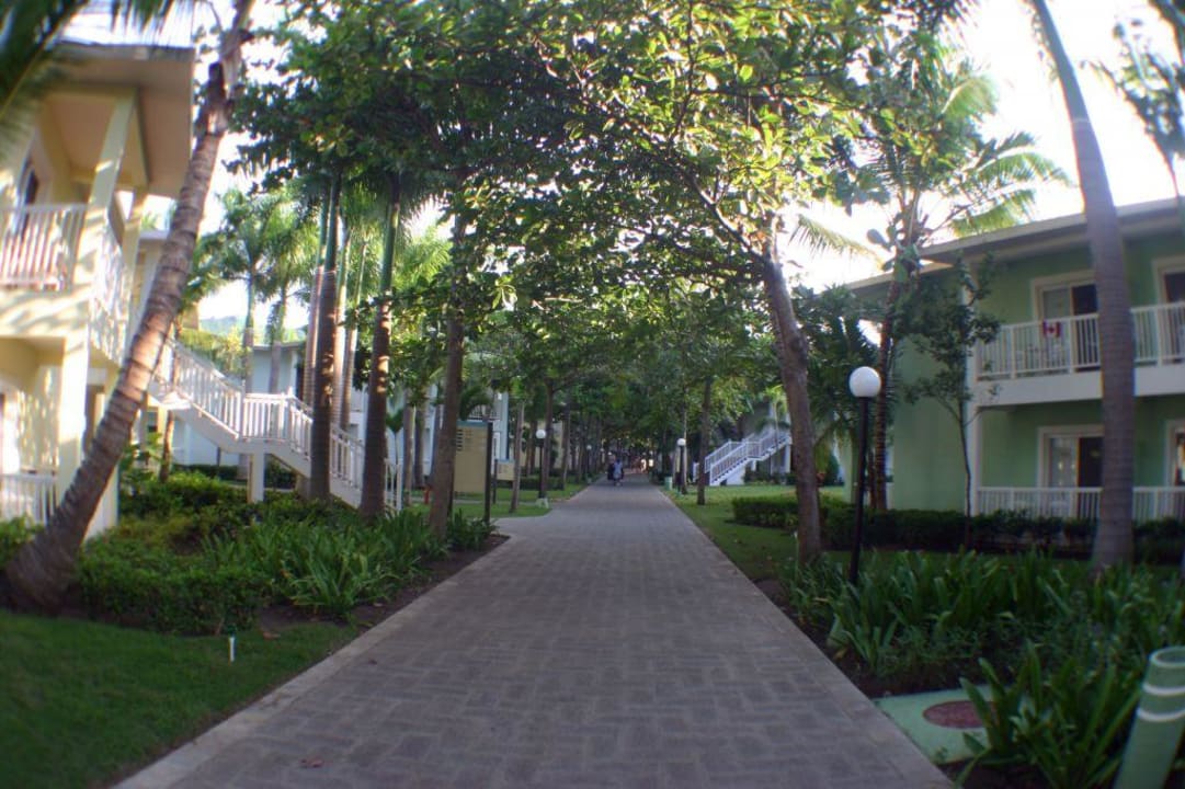 Blick in die Anlage Playabachata Hotel