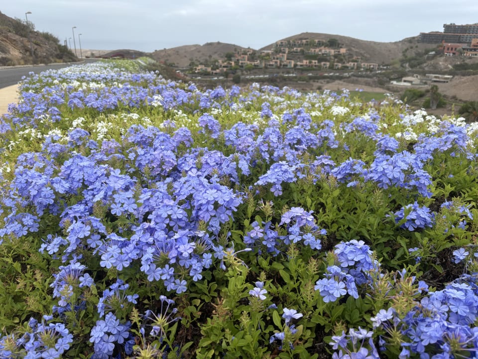 Außenansicht Salobre Hotel Resort & Serenity