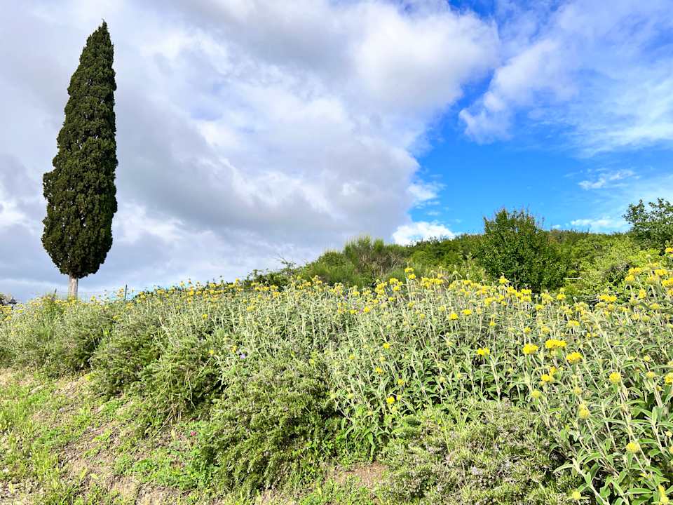 Gartenanlage B&B La Fornace di San Galgano