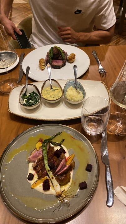 Gastro Acanthus Cennet Barut Collection