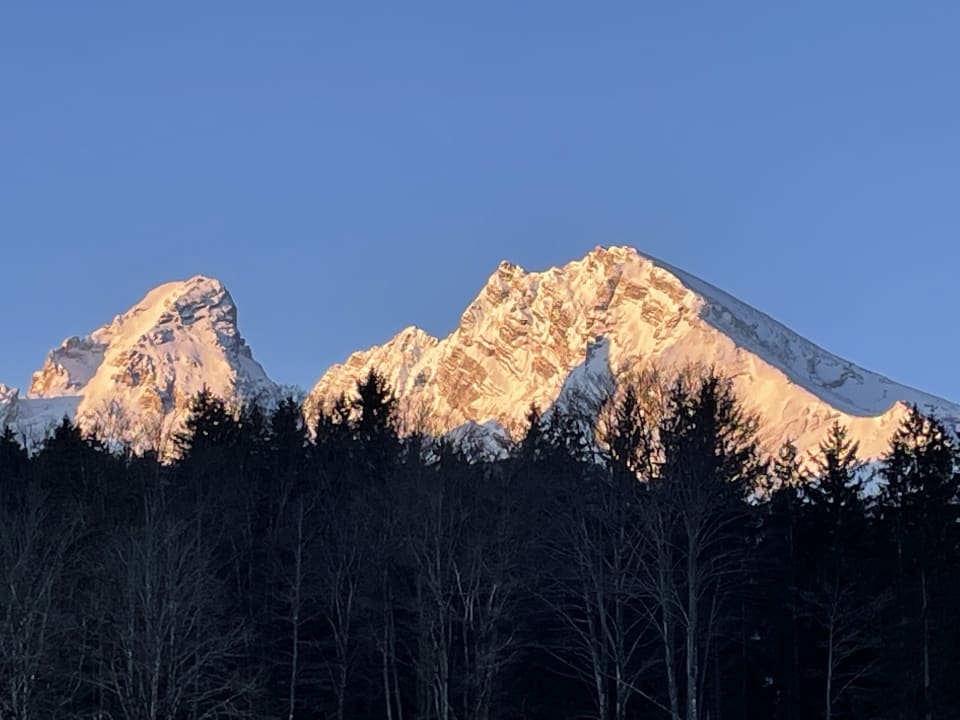 Ausblick Alm- & Wellnesshotel Alpenhof
