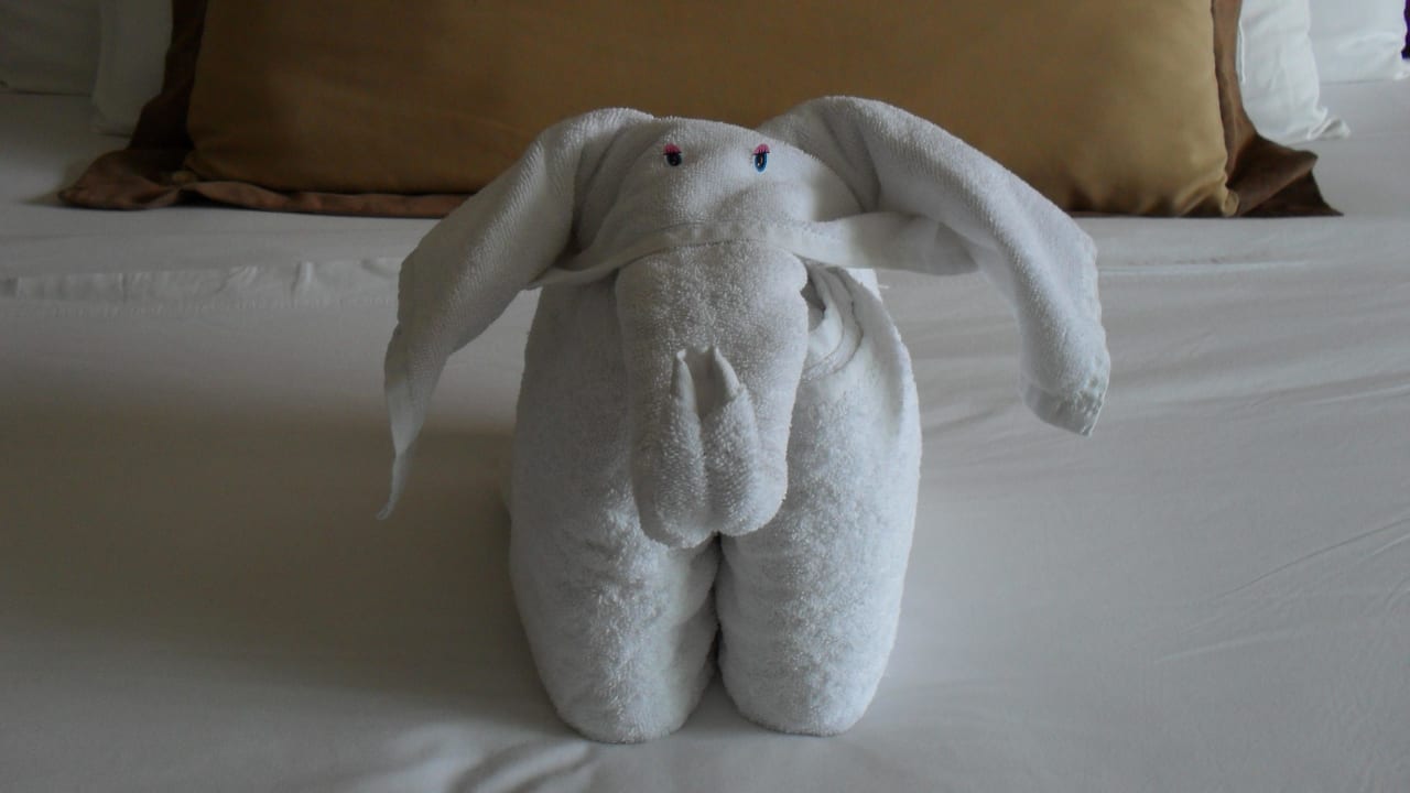 Immer wieder ein nettes Handtuchtier BlueBay Grand Esmeralda