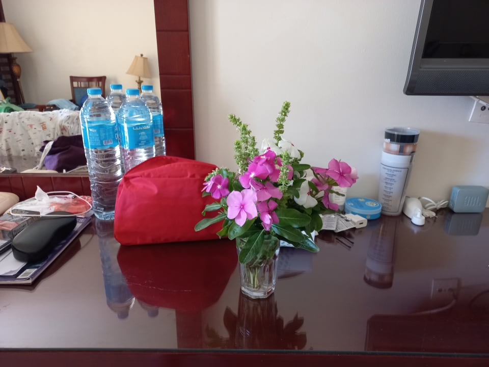 Zimmer Sentido Caribbean World Soma Bay