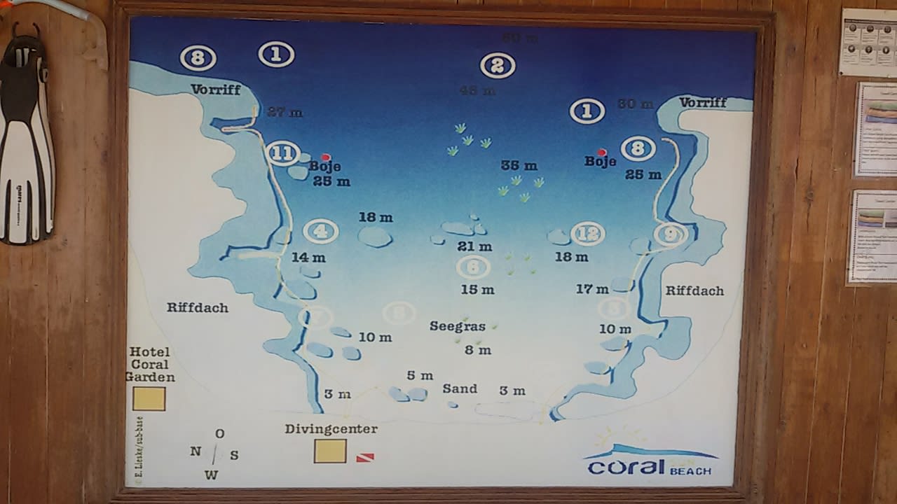 Sport & Freizeit Coral Sun Beach