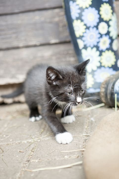 Sonstiges Naturferien Hilserhof