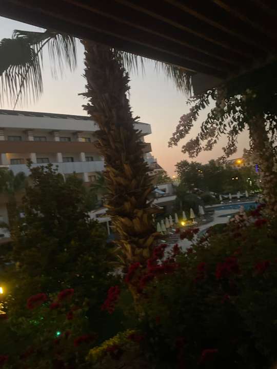 Ausblick Terrace Elite Resort