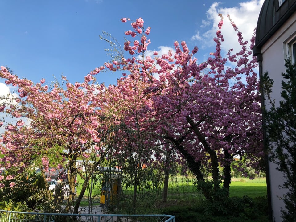 Außenansicht Welcome Hotel Bad Arolsen