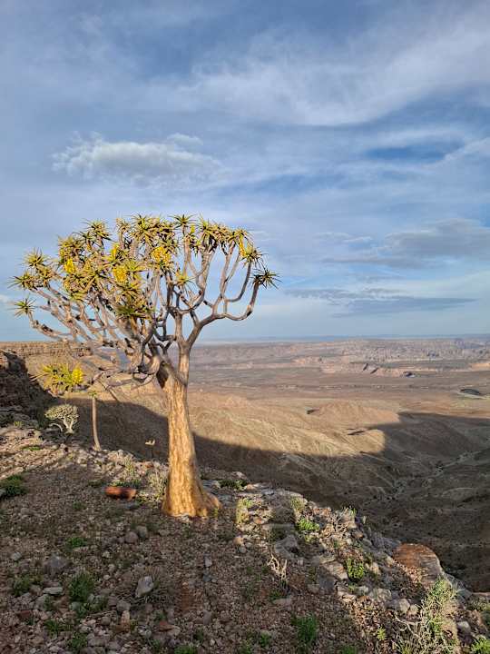 Ausblick Fish River Lodge
