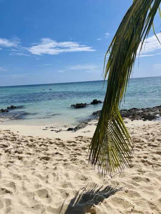 Strand Hotel Viva Dominicus Palace by Wyndham-All Inclusive Resort