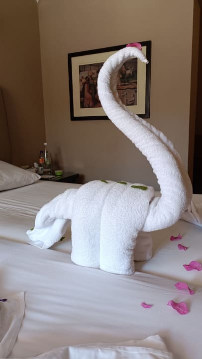 Zimmer Jaz Makadi Oasis Resort