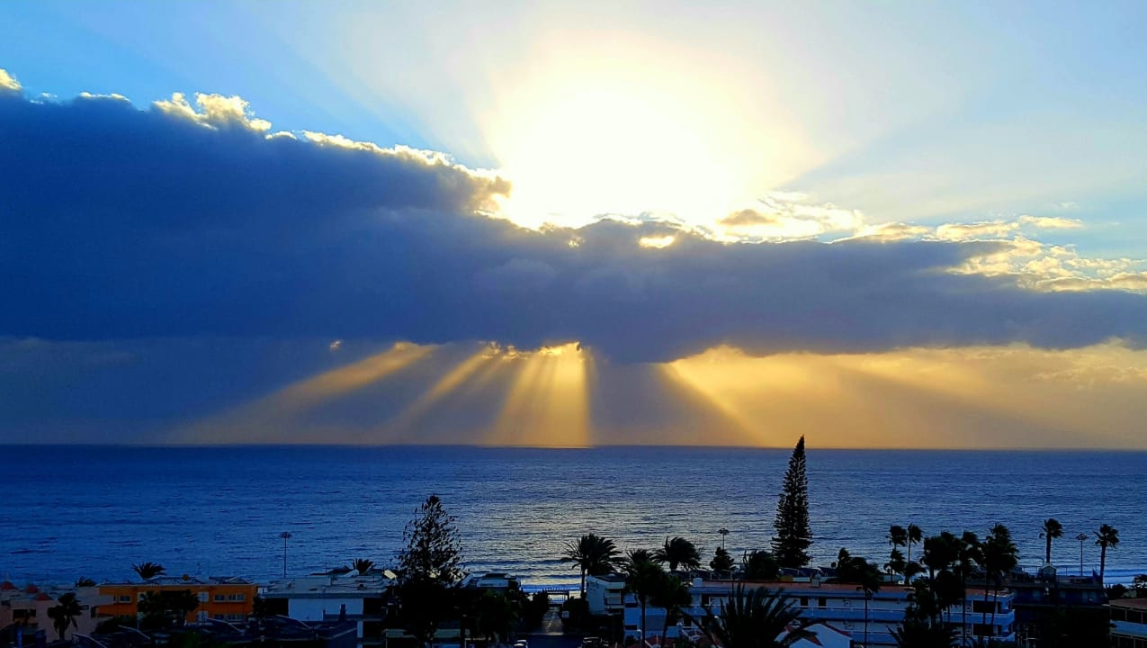 Magische Belichtung beim Sonnenaufgang Hotel Riu Palace Palmeras