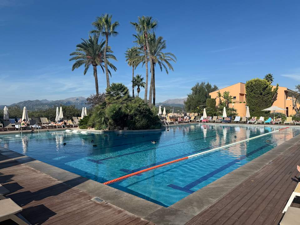 Pool PortBlue Club Pollentia Resort & Spa