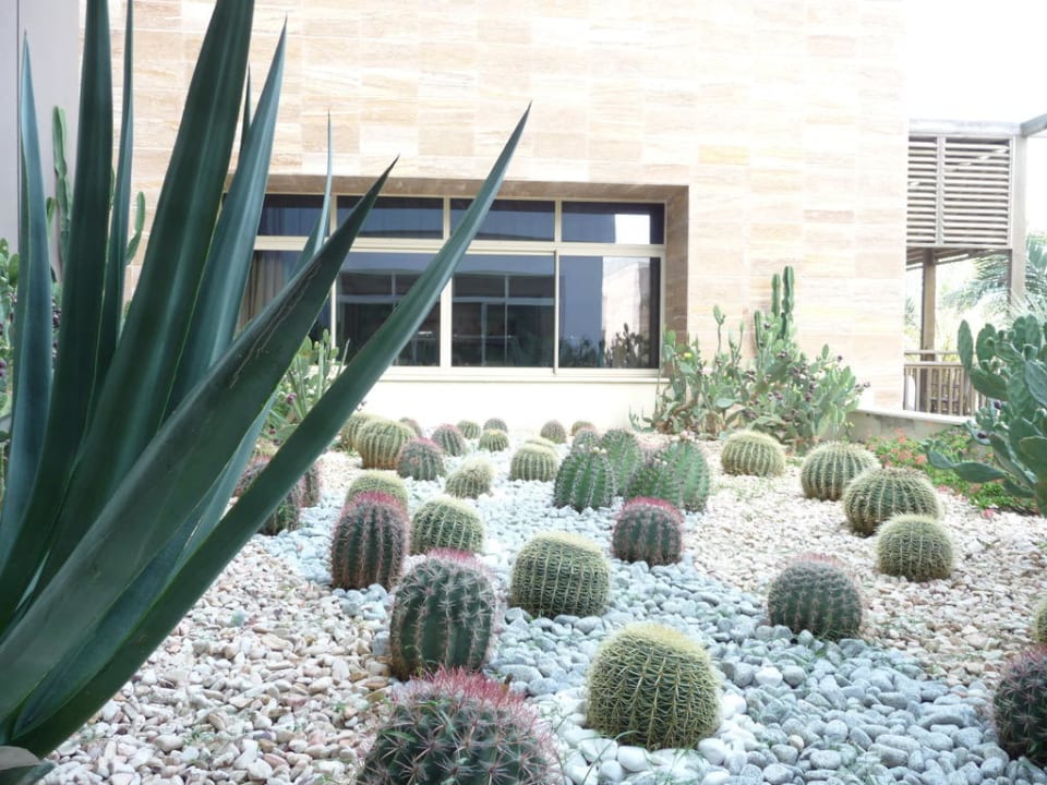 Sunis Kumkoy Beach Sunis Kumköy Beach Resort Hotel & Spa