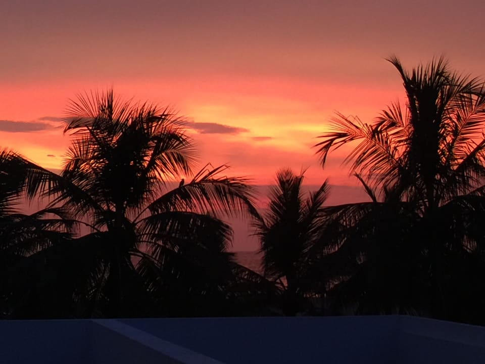 Sonstiges Goldi Sands Hotel