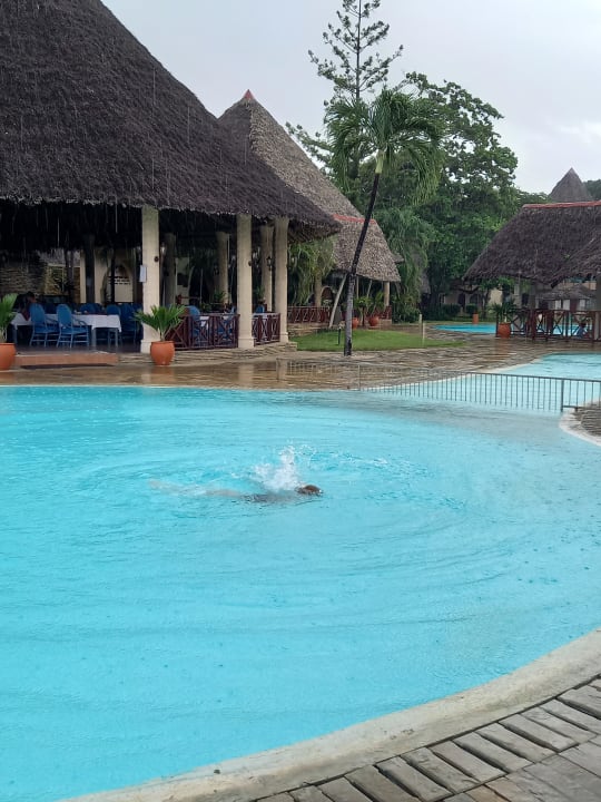 Pool Neptune Paradise Beach Resort & Spa