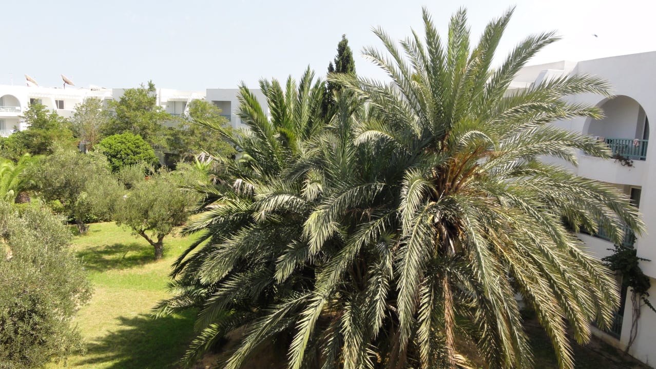 Ogród El Mouradi Club Kantaoui