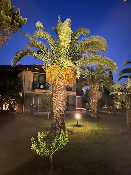 Gartenanlage TUI BLUE Palm Garden